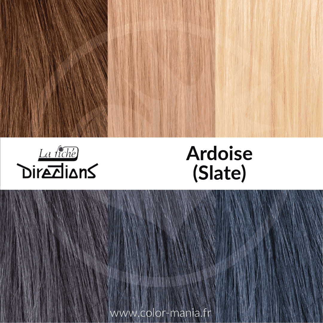 Swatch Ardoise (Slate)
