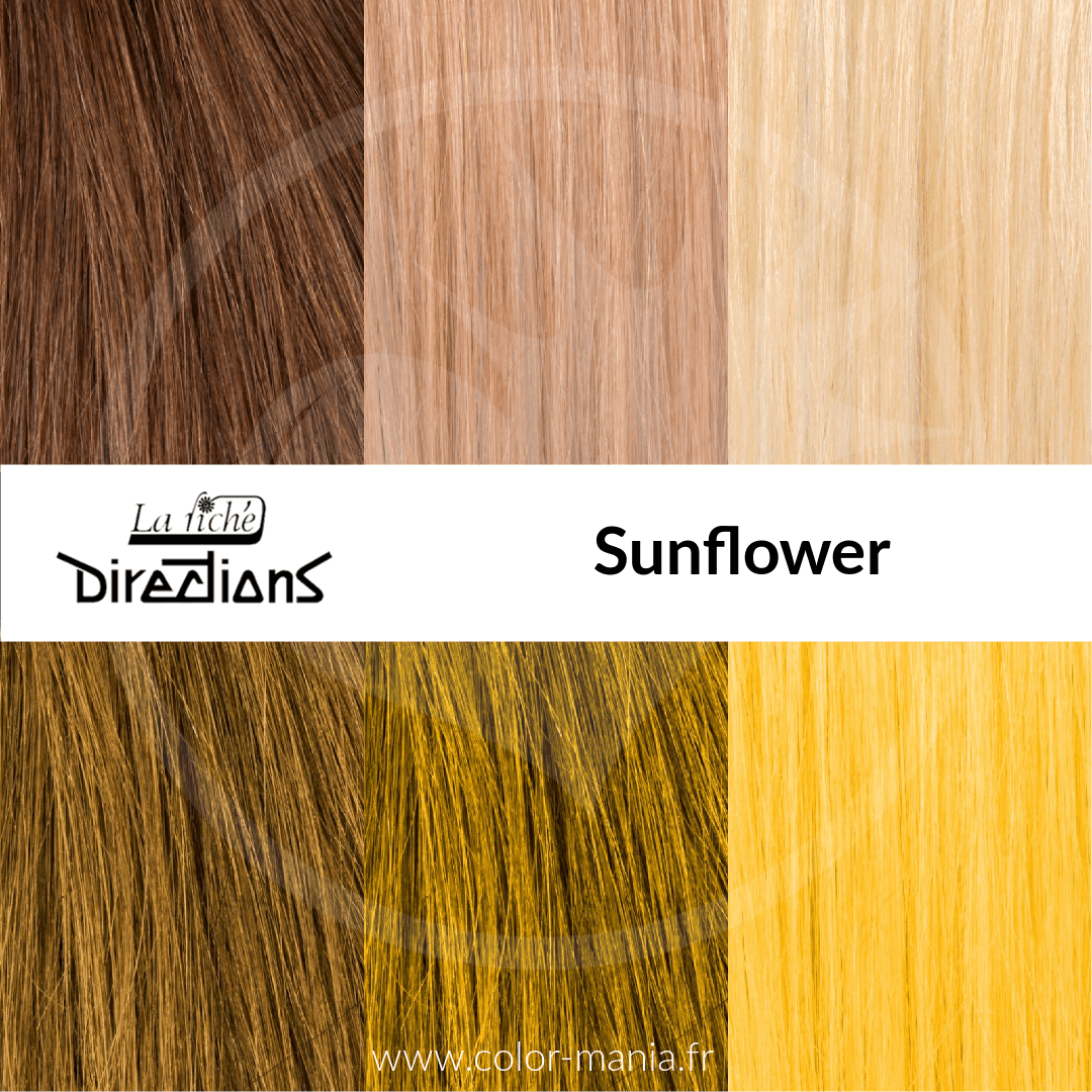 Swatch Sunflower