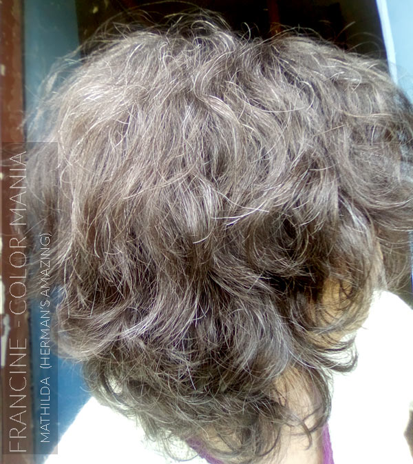 Merci Francine :) Coloration Cheveux Gris Granny Mathilda Grey - Herman's Amazing | Color-Mania
