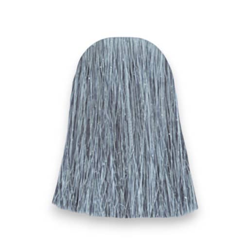 Blue Steel Meche Gris Coloration Cheveux Manic Panic Color Mania meche