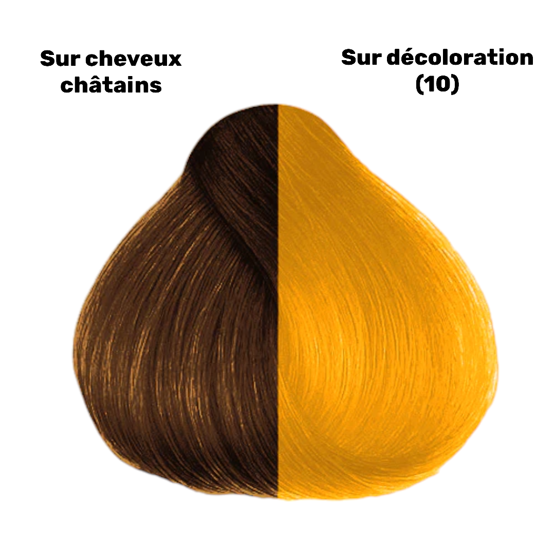 hermans Amazing sammy sunshine nuancier Color Mania