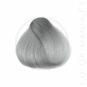 La Coloration Cheveux Gris Sylvia Grey - Herman's Amazing | Color-Mania