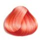 Coloration Cheveux Rose Peach - Directions | Color-Mania
