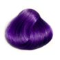 Coloration Cheveux Ultra Violet – Directions | Color-Mania