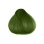 Coloration Cheveux Vert Jorge - Herman's Amazing | Color-Mania