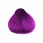 Coloration Cheveux Violet Orchid - Herman's Amazing | Color-Mania