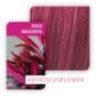 Coloration Cheveux Create High Magenta - Wella | Color-Mania