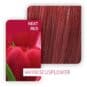 Coloration Cheveux Create Next Red - Wella | Color-Mania