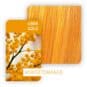 Coloration Cheveux Create Uber Gold - Wella | Color-Mania