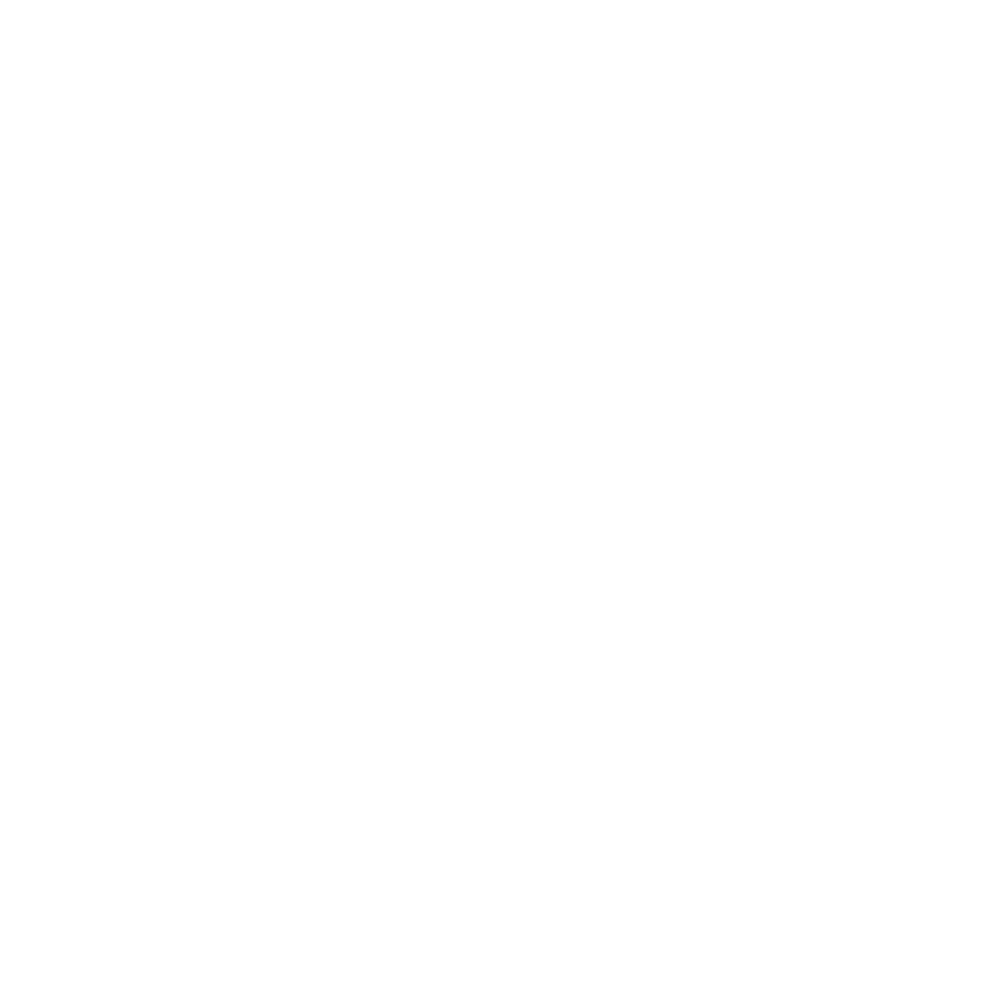 Epicor Services Partner Logo White
