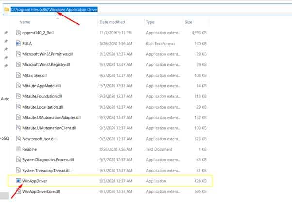 Installation directory in WinAppDriver