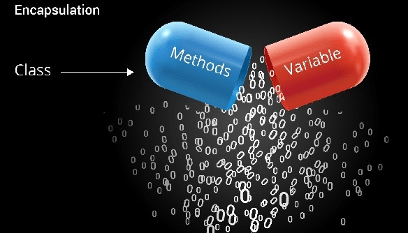 Encapsulation Methods Variable