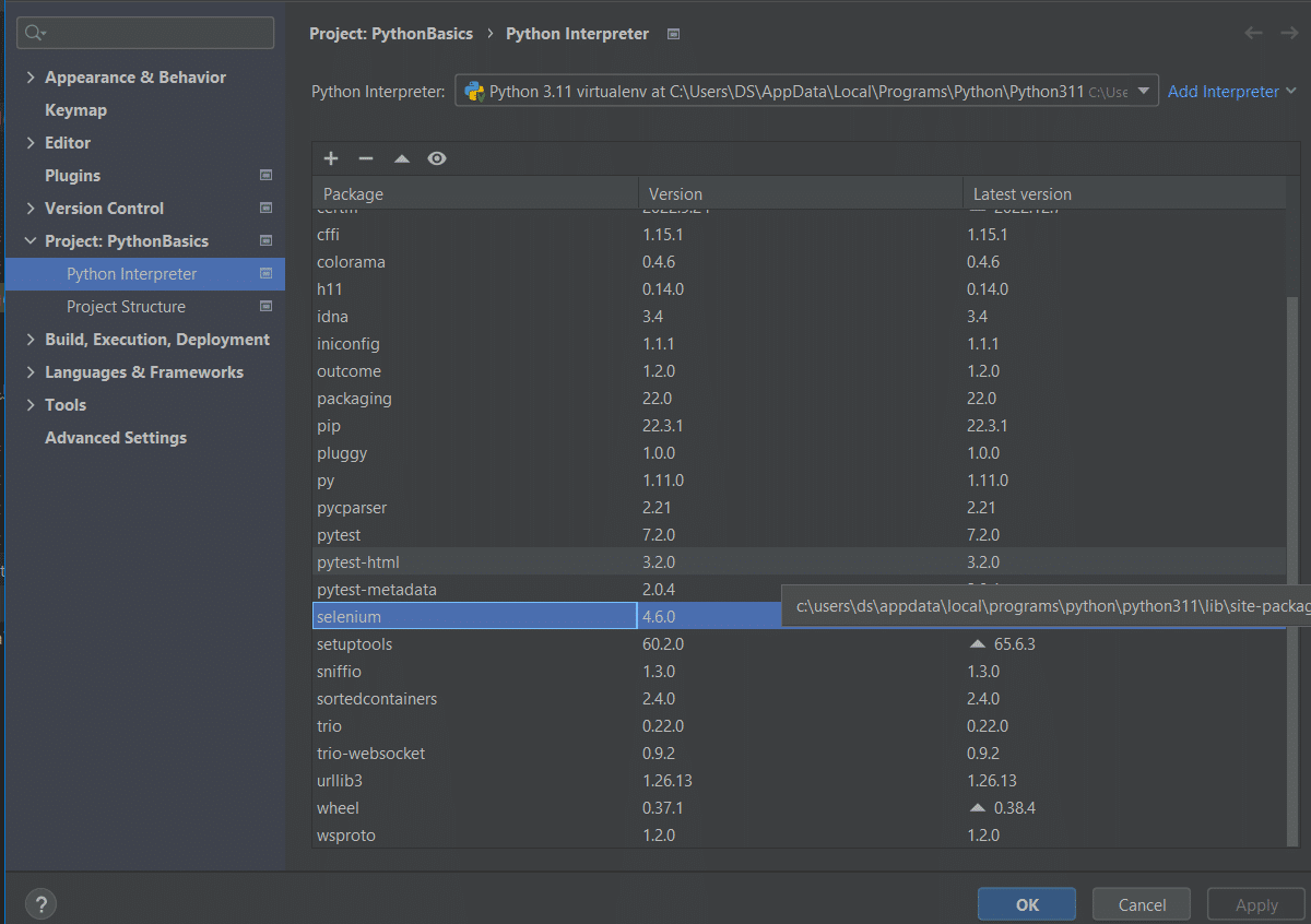 Image of Python Interpreter