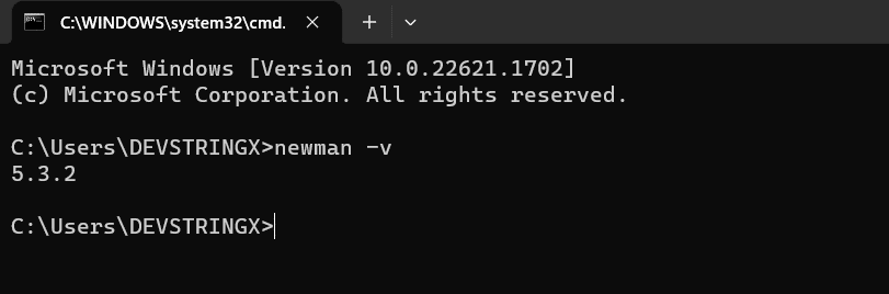 installation of Newman image