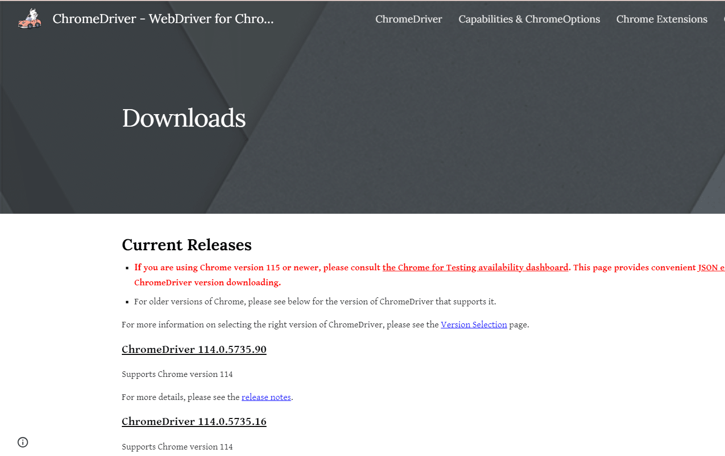 ChromeDriver latest release image
