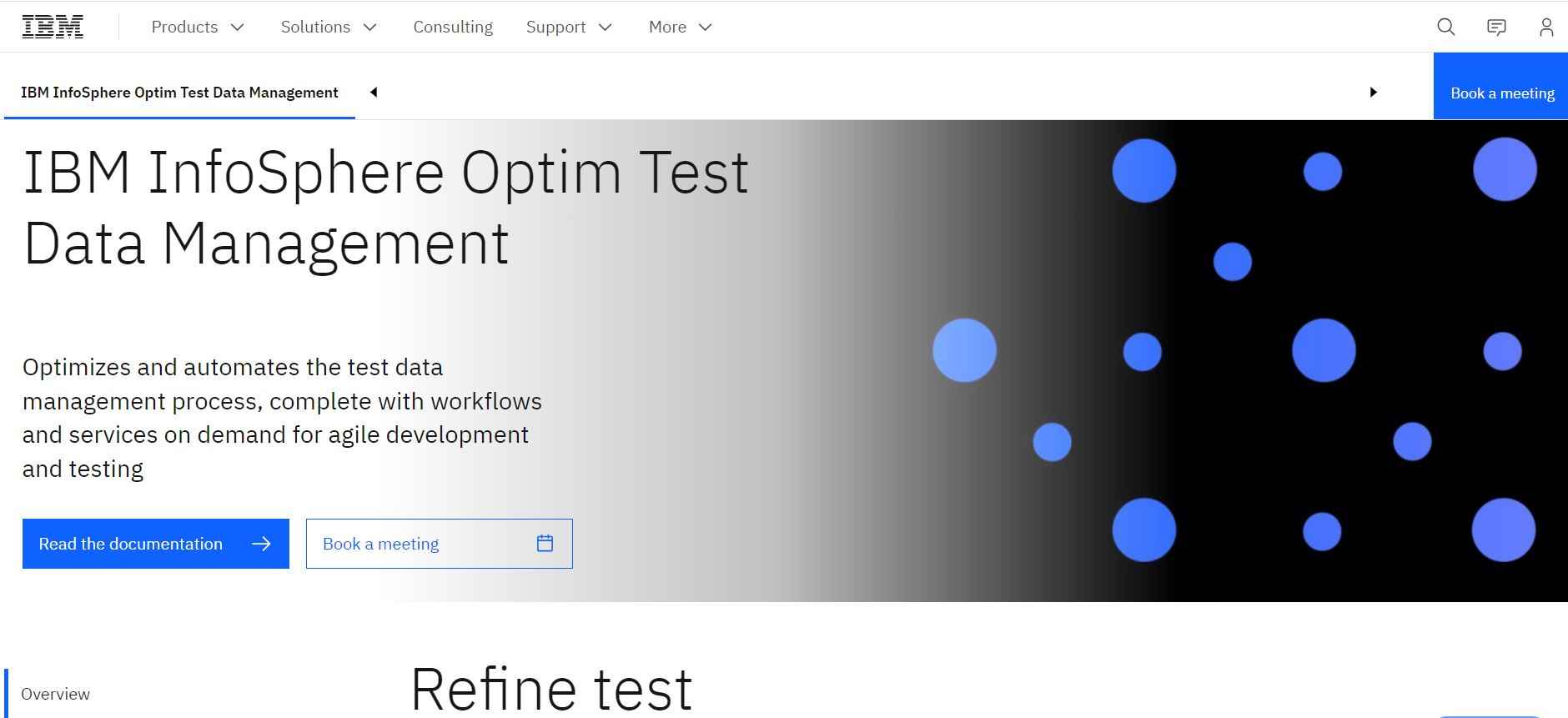 image of IBM Optim Tool