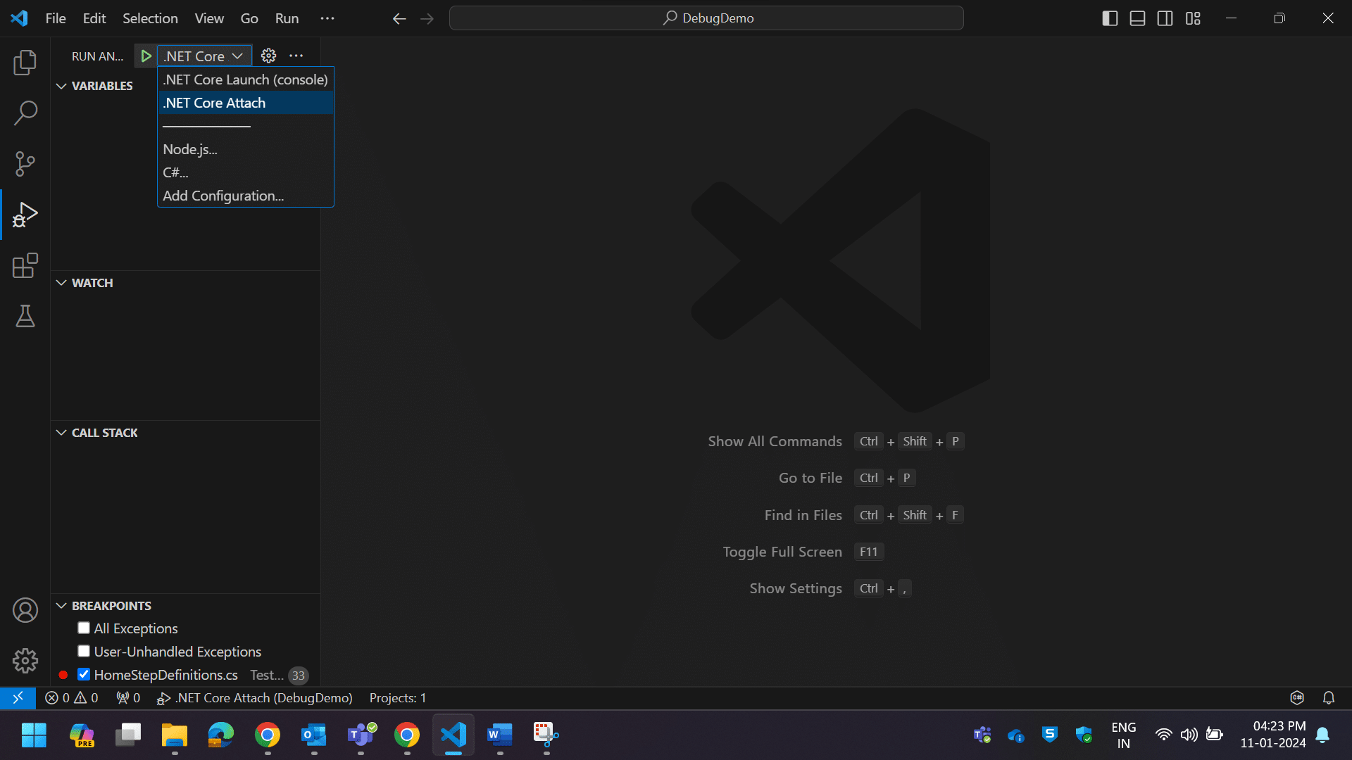 Image of .Net core & Launch