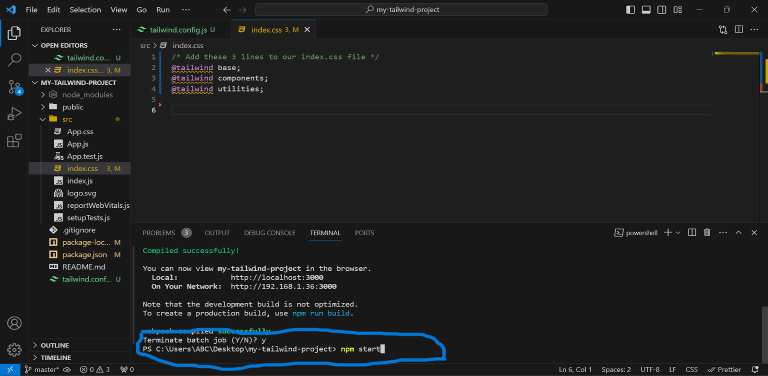 Image of npm start