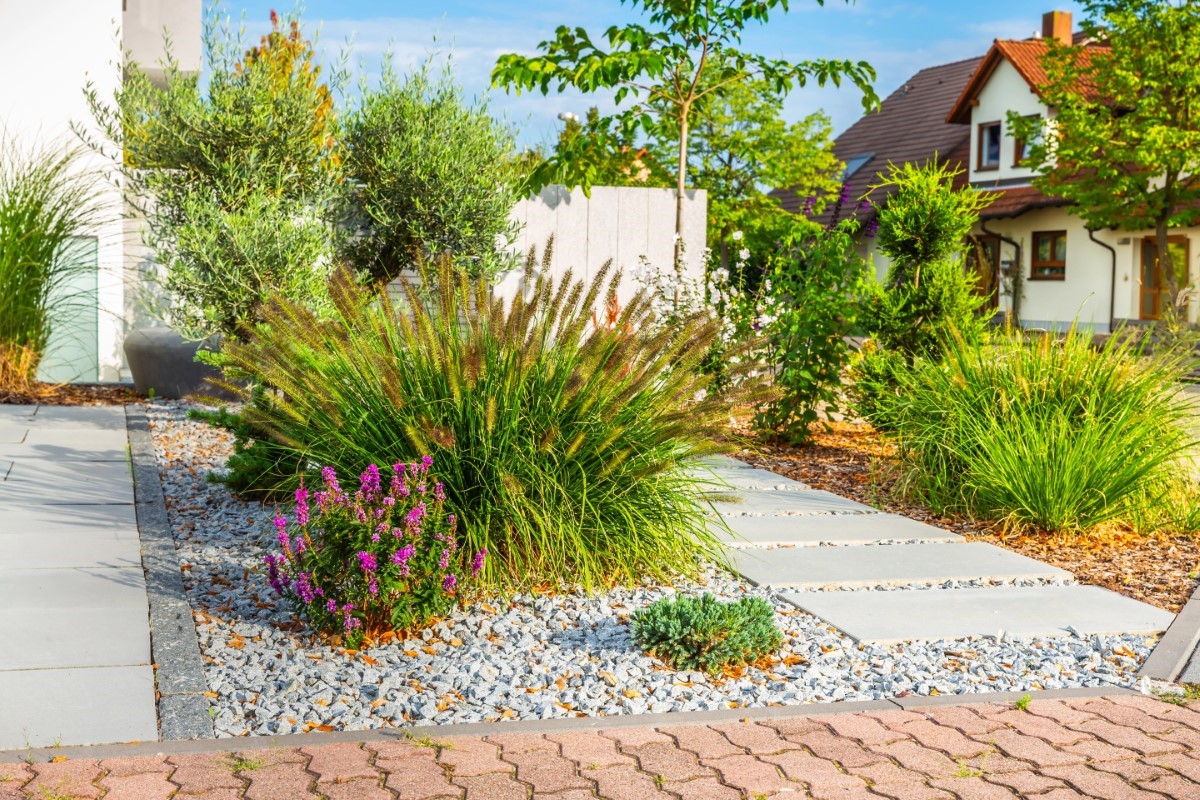 Canicule, moustiques, restrictions : le jardin sec comme argument de vente immobilière ?
