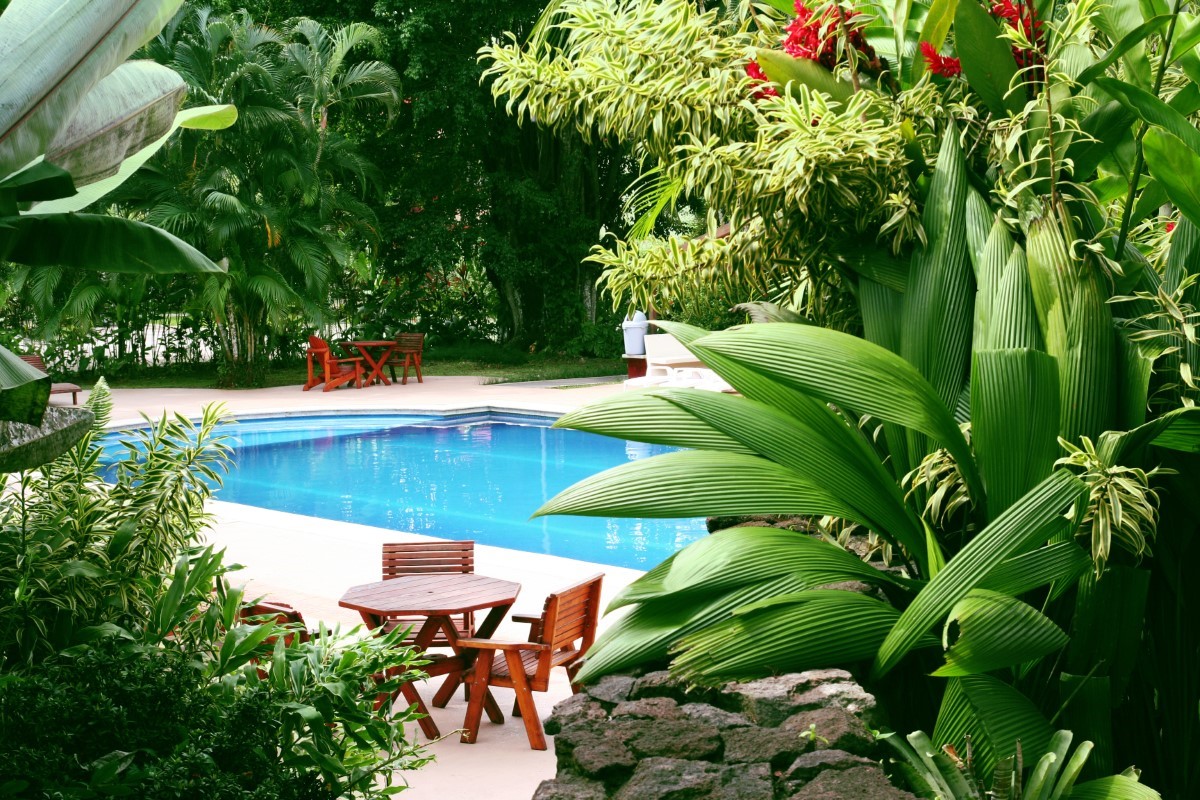 Immobilier : piscine ou pas piscine ? Ce que ce choix dit de vous en 2025