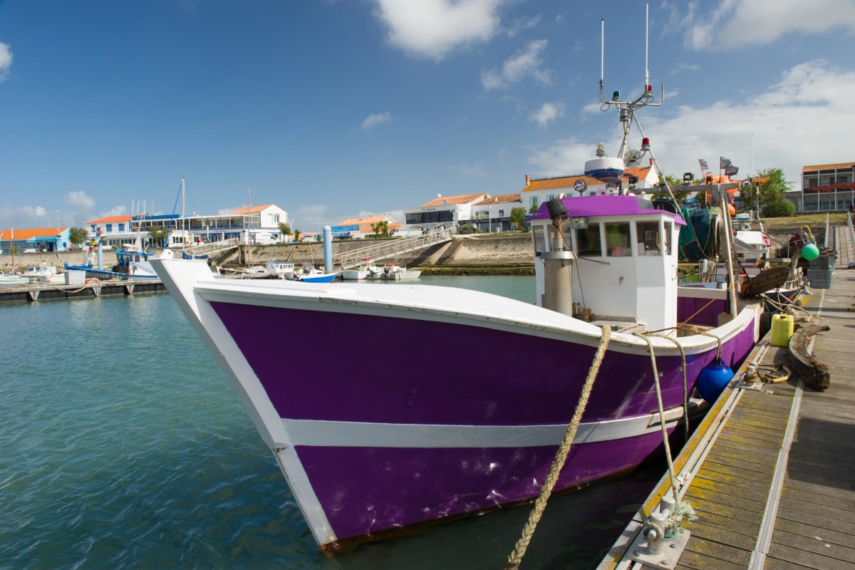 Vivre sur une île France le prix en Juillet 2025 du rêve insulaire à l’heure de la tension immobilière