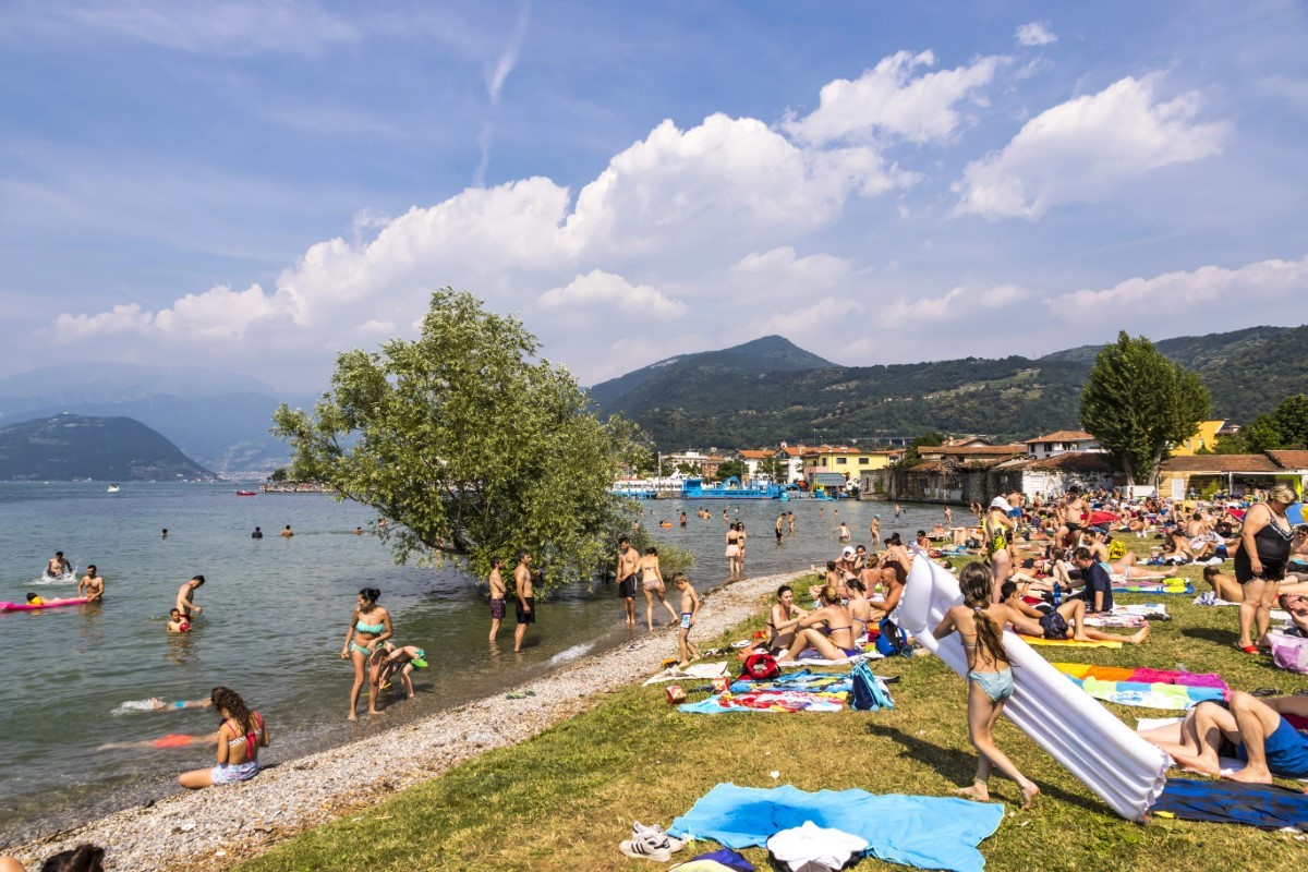 Baignade interdite, eau verte, canicule : quand les cyanobactéries menacent vos vacances et votre foyer