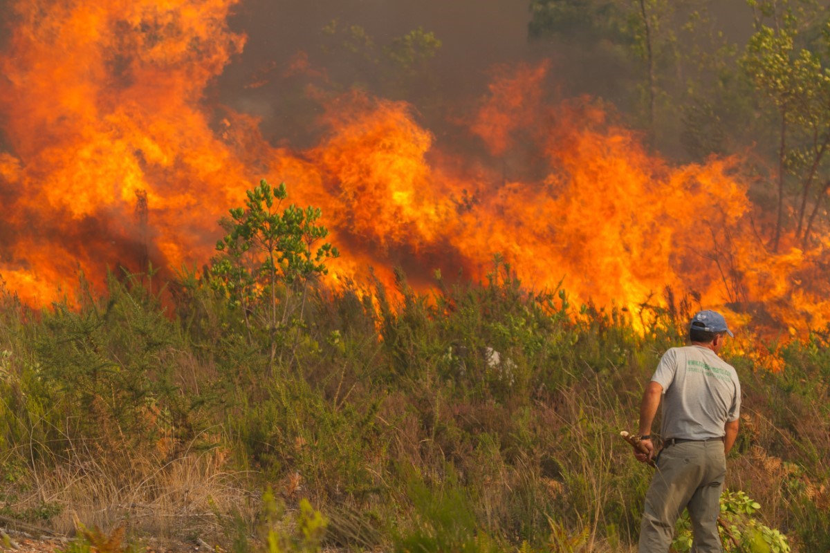 au Portugal, ces retraités fuient moustiques, canicule et feux meurtriers