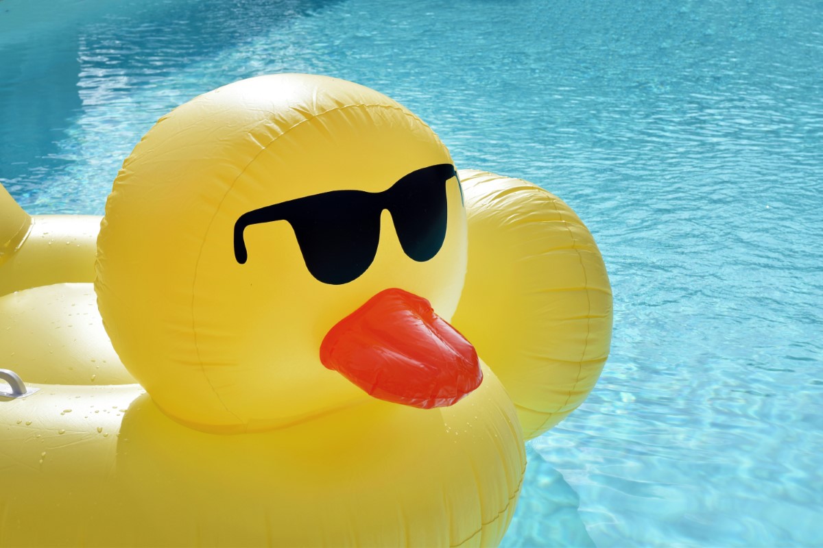 ce squatteur s’introduit dans une piscine privée, se blesse… et attaque le propriétaire en justice