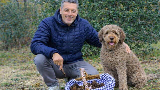Truffe_-vins-d’hiver_-champignons-ces-terroirs-qui-font-aussi-grimper-l’immobilier-investir Truffe_-vins-d’hiver_-champignons-ces-terroirs-qui-font-aussi-grimper-l’immobilier-investir
