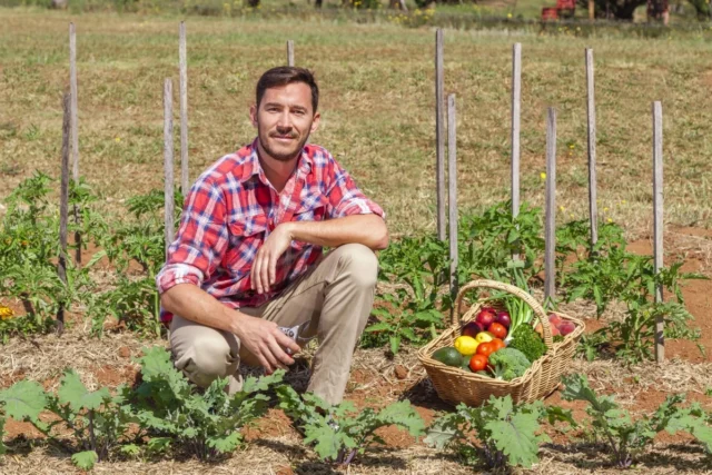 Pourquoi-un-beau-potager-peut-désormais-valoir-plus-qu’une-piscine Pourquoi-un-beau-potager-peut-désormais-valoir-plus-qu’une-piscine