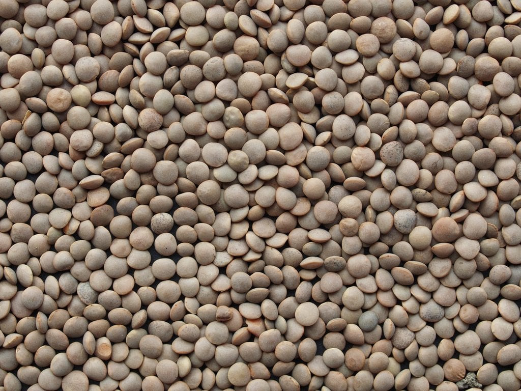Ces aliments nourrissants qui font maigrir