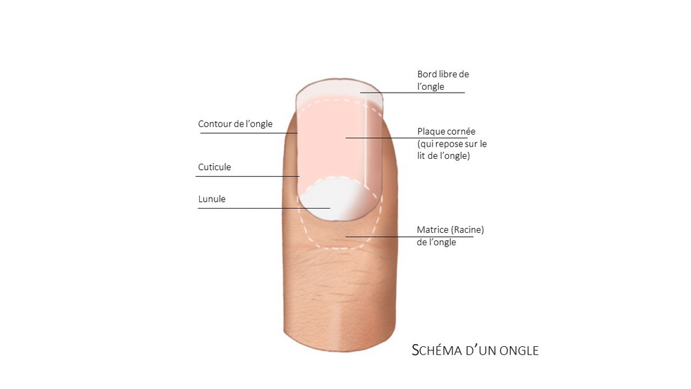 ongles manucure