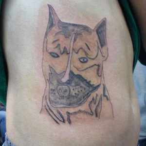 chien http-::www.minutebuzz.com