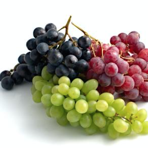 20 aliments qui vous aide à perdre du poids