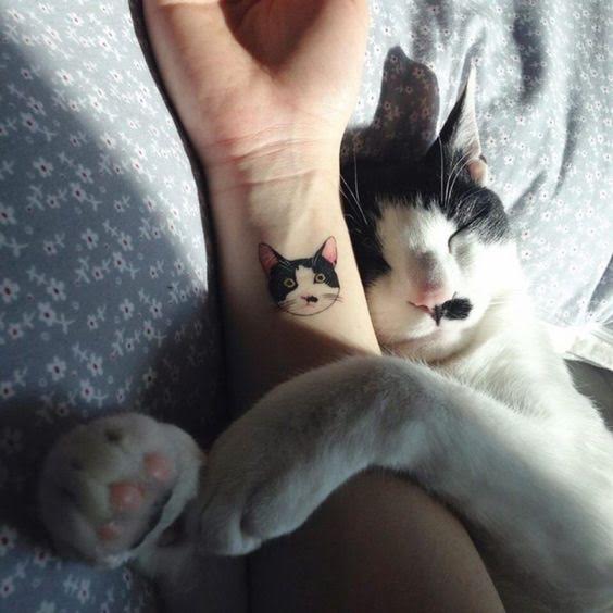 tatouage chat