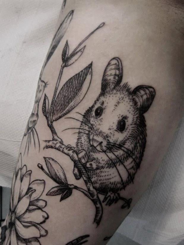 Souris sauvage