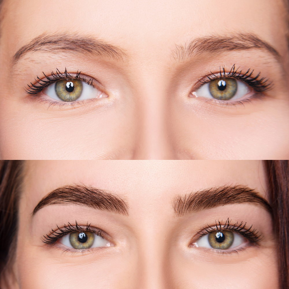microshading sourcils