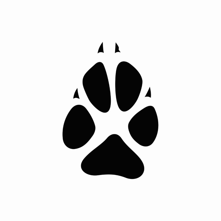 Tatouage en forme de patte d'animal
