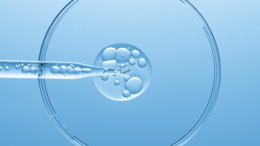 serum acide hyaluronique definition