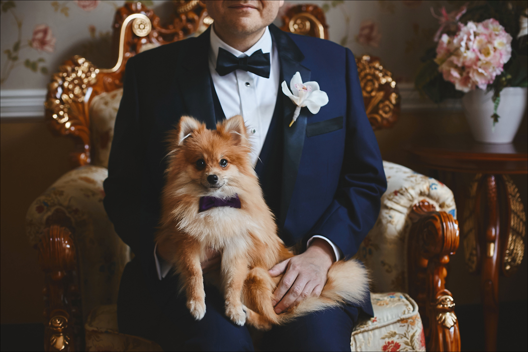 costume de mariage ou smoking que choisir
