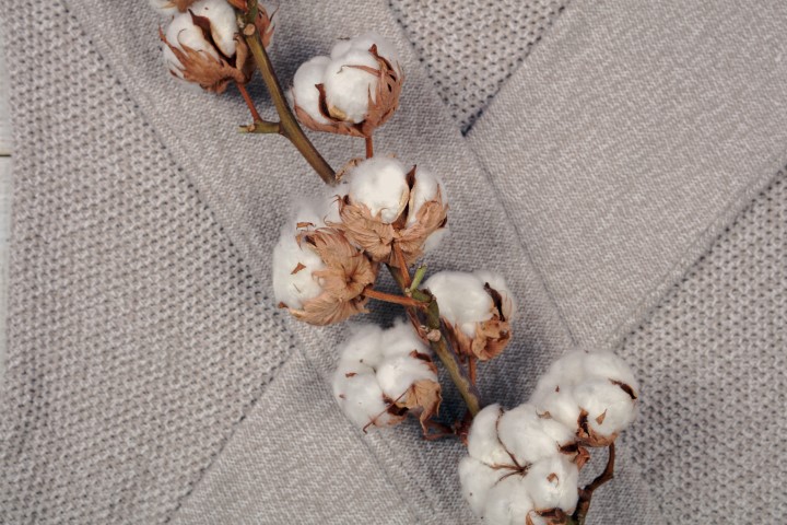 pull fabriqué avec du coton bio