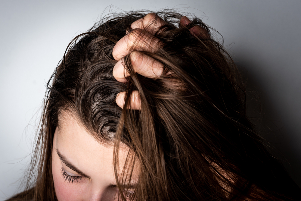 soins cheveux gras