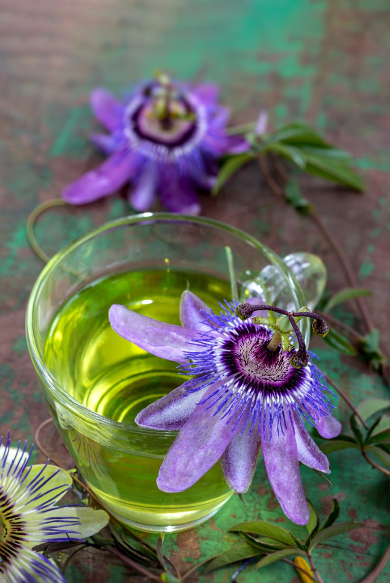 infusion à la passiflore