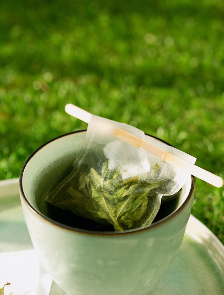 infusion à la verveine