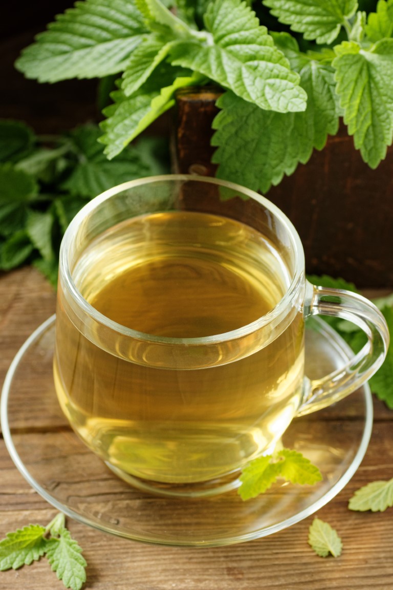 infusion à la mélisse