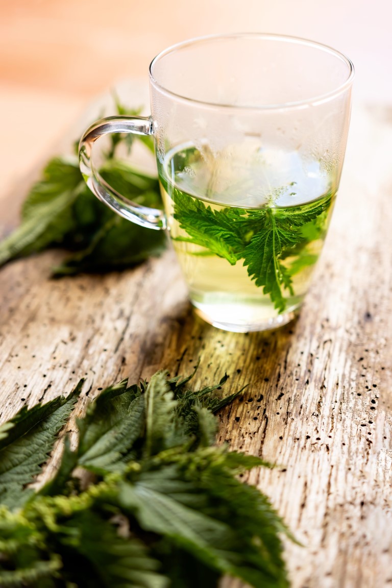 tisane aux orties