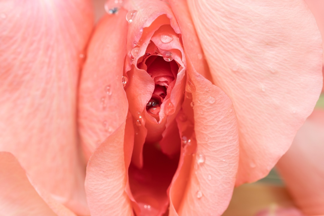 plaisir feminin orgasme