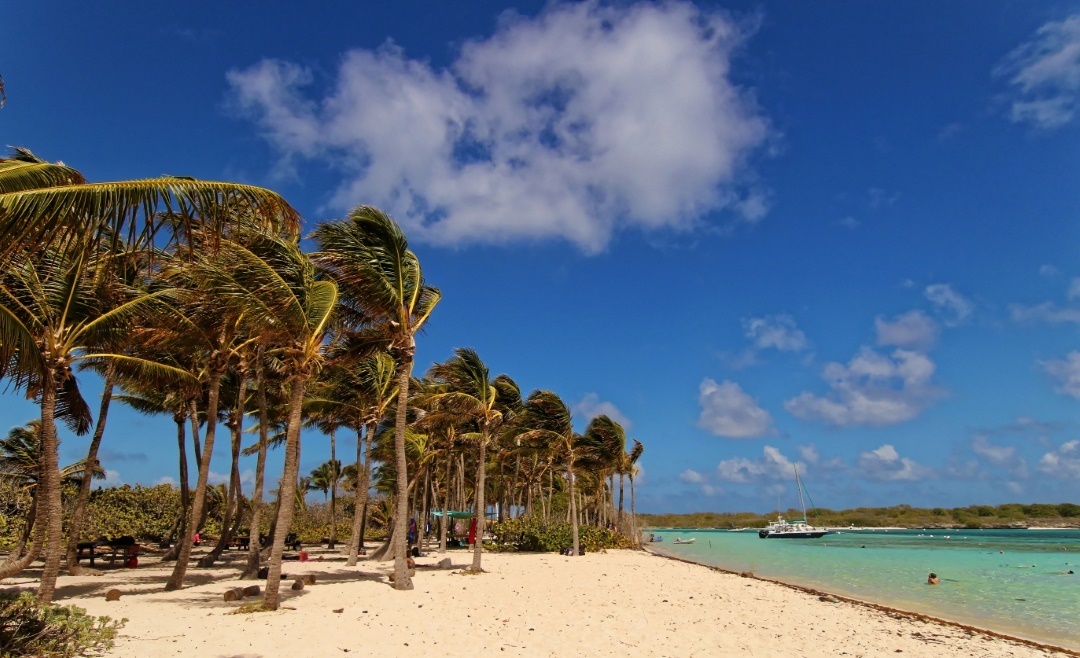 Plage De Petite Terre Guadeloupe