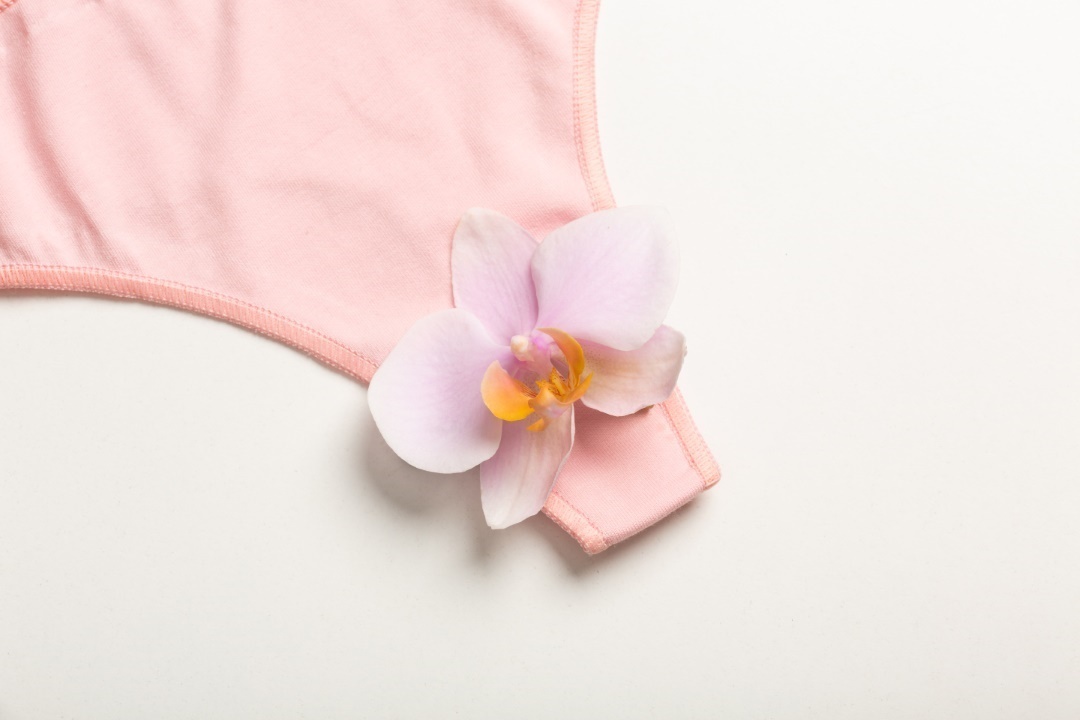 combien coute culottes menstruelles