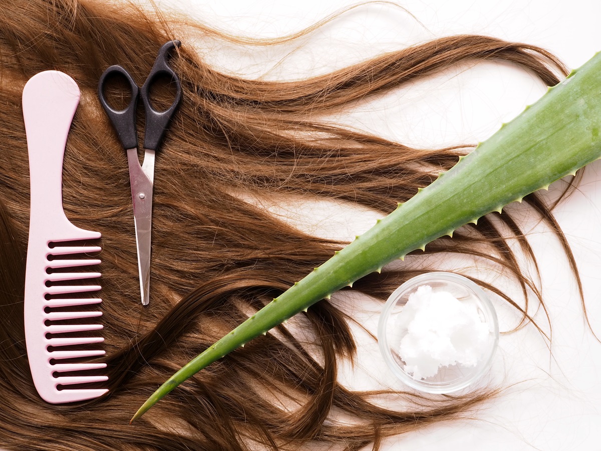 aloe vera chignon